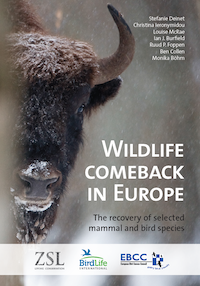 Wildlife Comeback Report