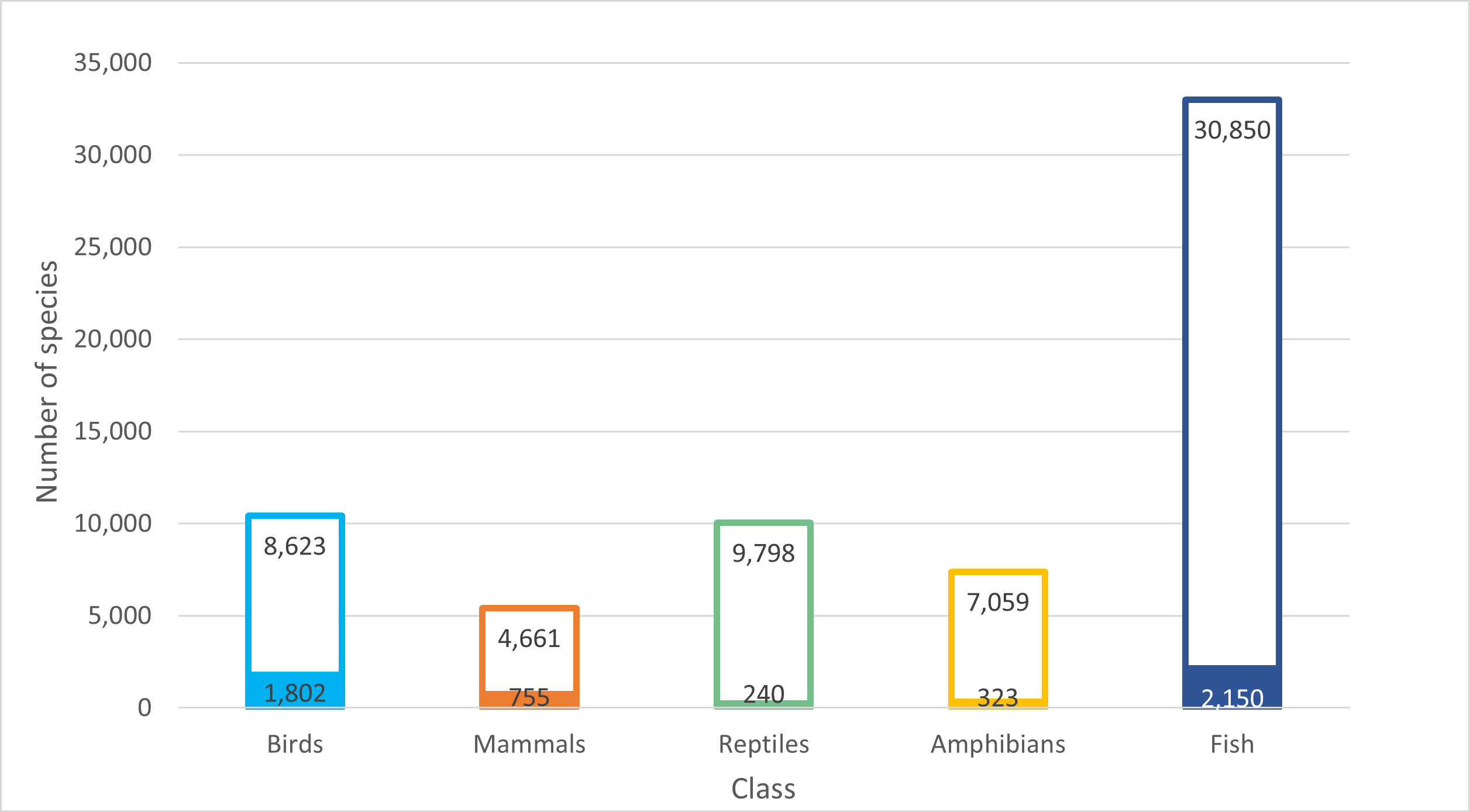 Species by taxonomic class